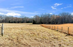 ANDREW Rd, Mason, TN 38049