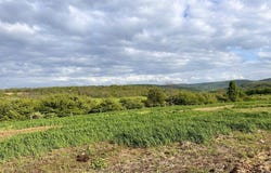 2060 Rietter Hill Road, Westfield, PA 16950