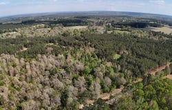 County Road 234 lot: 4, Nacogdoches, TX 75965