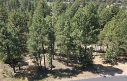 1160 S Cherokee Drive, Show Low, AZ 85901
