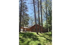 4247 Racoon Trail, Lincoln, MI 48742