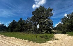 00 NE 115TH AVE, WILLISTON, FL 32696