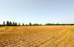 14839 Westfall Road LOT 20, Chillicothe, OH 45601