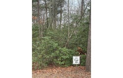 Sapphire Ridge lot: 13, Blue Ridge, GA 30513