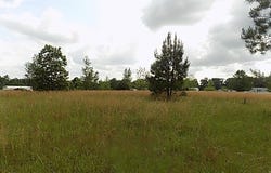 0 HANGING MOSS TRAIL, Cottonwood, AL 36320