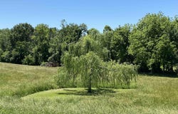 1640 PLEASANT RIDGE Road, Vienna, IL 62995