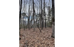 130 Eagle'S Rest Drive, Clarksville, VA 23927
