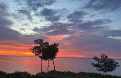 95 N MARION Court, PUNTA GORDA, FL 33950