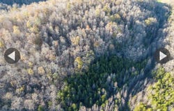 10.73 Smith Grove Road, Burkesville, KY 42717