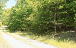1215 Red Bird  LN, Horseshoe Bend, AR 72512