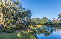 2221 Chatelain Way, Mount Pleasant, SC 29464