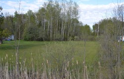 2956 3 Rivers Road, Gladwin, MI 48624