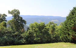 Lot 168 Feldspar Rd, New Tazewell, TN 37825
