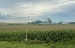 44.55 Acres Highway 60, Arlington, WI 53555