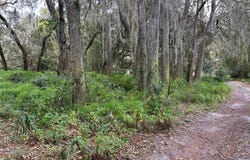 CHAMELEON ROAD, PIERSON, FL 32180