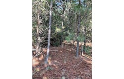0 Bowers Street, Bowman, GA 30624