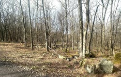 Aster Circle lot: 216, Terra Alta, WV 26764