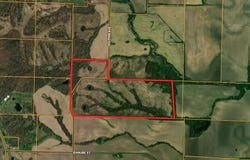 Dolphin, Ethel, MO 63539
