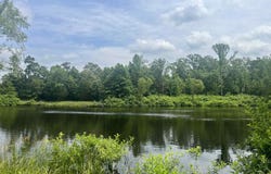 413 Polk Road 19, Cove, AR 71953