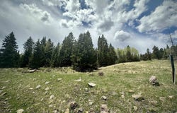 Lot 15 Pleasant Meadow Drive, Angel Fire, NM 87710