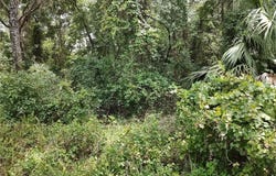 8488 E Henderson Trail, Inverness, FL 34450