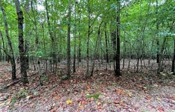 10.88 AC Beech Creek Road, Gloucester County, VA 23061