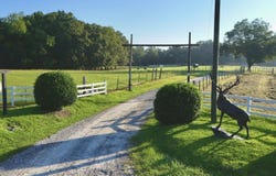 910 County Road 79 S, Eufaula, AL 36027