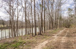 0 COUNTY ROAD 222, Crane Hill, AL 35053