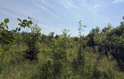 Gristmill Road, Baraga, MI 49908