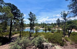 618 N Redbud Circle, Payson, AZ 85541