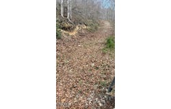 Sulphur Springs Road, Jonesville, VA 24263