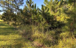00 HORSESHOE COVE RD Cove, Waverly, GA 31565