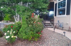 1341 JENNIFER Street, Prescott, AZ 86301