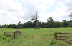 Tr 13 Private Road 1310, Centerville, TX 75833