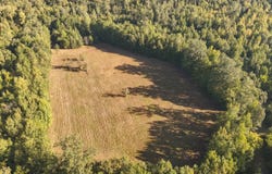 Paulette Rd, Macon, MS 39341