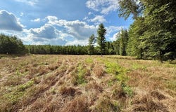 County Road 5131, MS 38829
