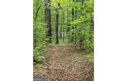 2331 Hollonville Road, Brooks, GA 30205