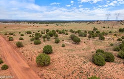 316 COUNTY ROAD 9211, Concho, AZ 85924
