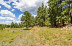 3464 Shoshone, Flagstaff, AZ 86005