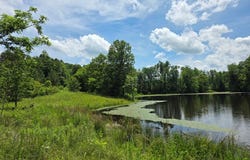 1239 Morris Creek Road, Cullen, VA 23934
