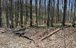 Lot 49 Val Disere Drive, Bellaire, MI 49615