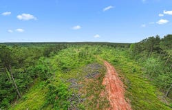 544 County Road 411, San Augustine, TX 75972