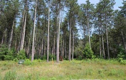 Lot 7 TWO SISTERS COURT, Stevens Point, WI 54482