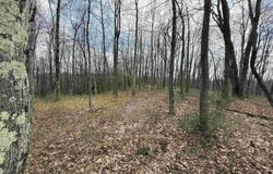The Vale Road lot: 1, Bridgeport, WV 26330