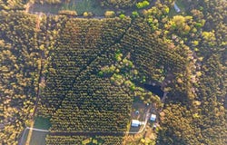 Gravel Pit Rd, Sandy Hook, MS 39478