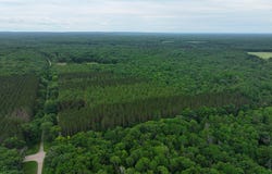 V/L 40a W 9 Mile Road, Irons, MI 49644