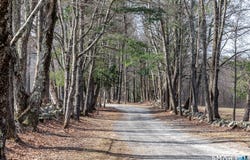 19 Hollenbeck Road, Cornwall, CT 06031