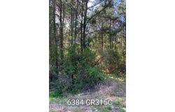 6384 COUNTY ROAD 315, Keystone Heights, FL 32656
