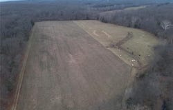 54 Acres Trainer, Bland, MO 65014