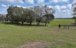 18700 W HWY 328, Dunnellon, FL 34432